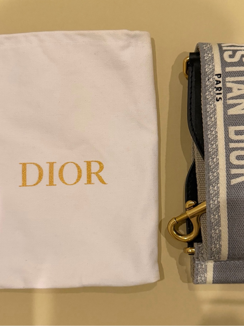 Dior Gray and Cream Logo Woven Strap with Gold-Tone Hardware